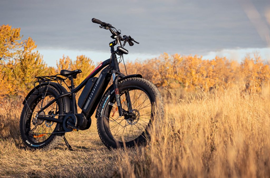 Electric Bikes